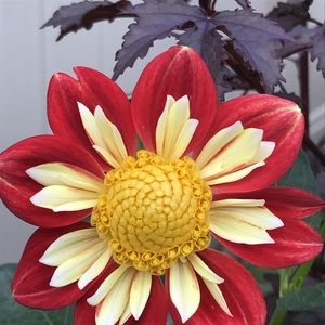 Meet your Posher, Jon